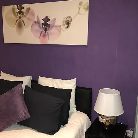 Feel@home5 خنت